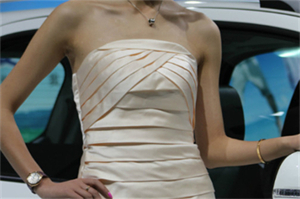 上海的自由贸易区解析 上海的自由贸易区解析